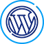 Hosting optimized for WordPress